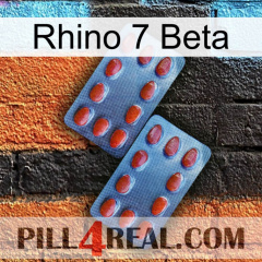 Rhino 7 Beta 05